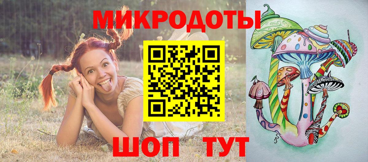Псилоцибиновые грибы Cubensis Новоалтайск