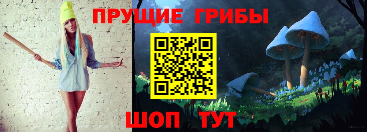 Новоалтайск  Псилоцибиновые грибы GOLDEN TEACHER  Вход с VPN 